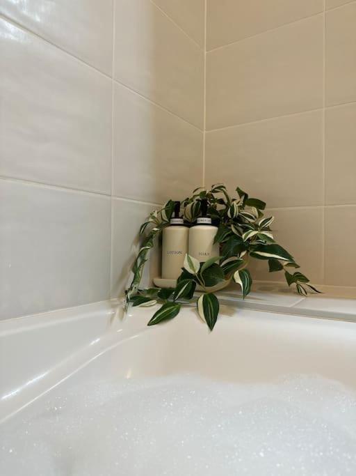Jungle Suite - Moderne & Spacieux Annecy Dış mekan fotoğraf